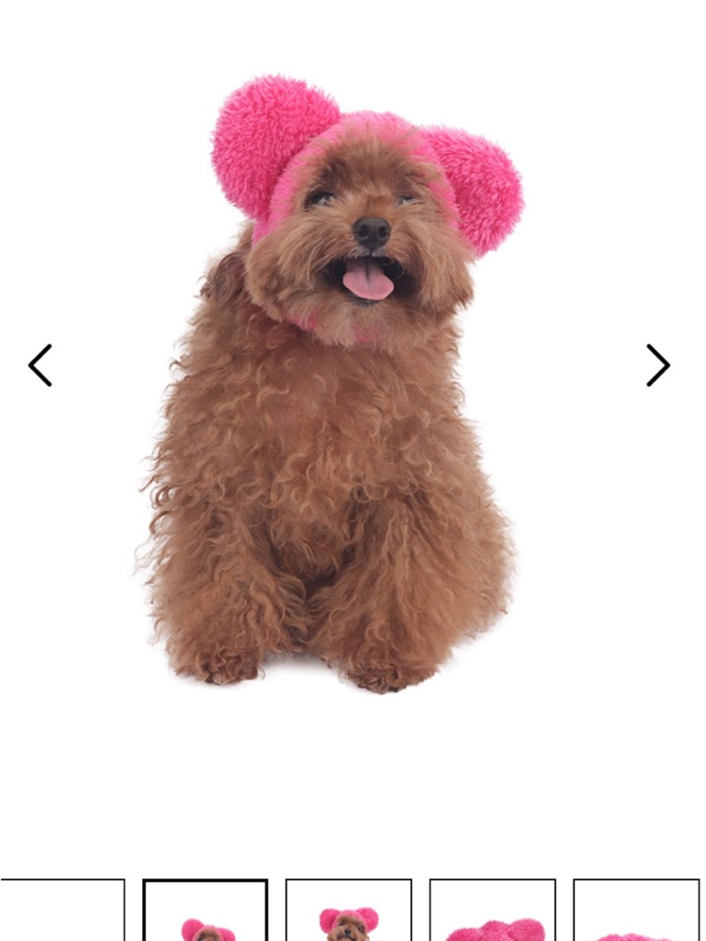 Monchouchou  Puppy Dog Bear Hat Cream New